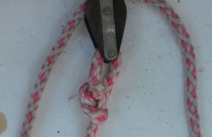 Bowline attached to a pulley.